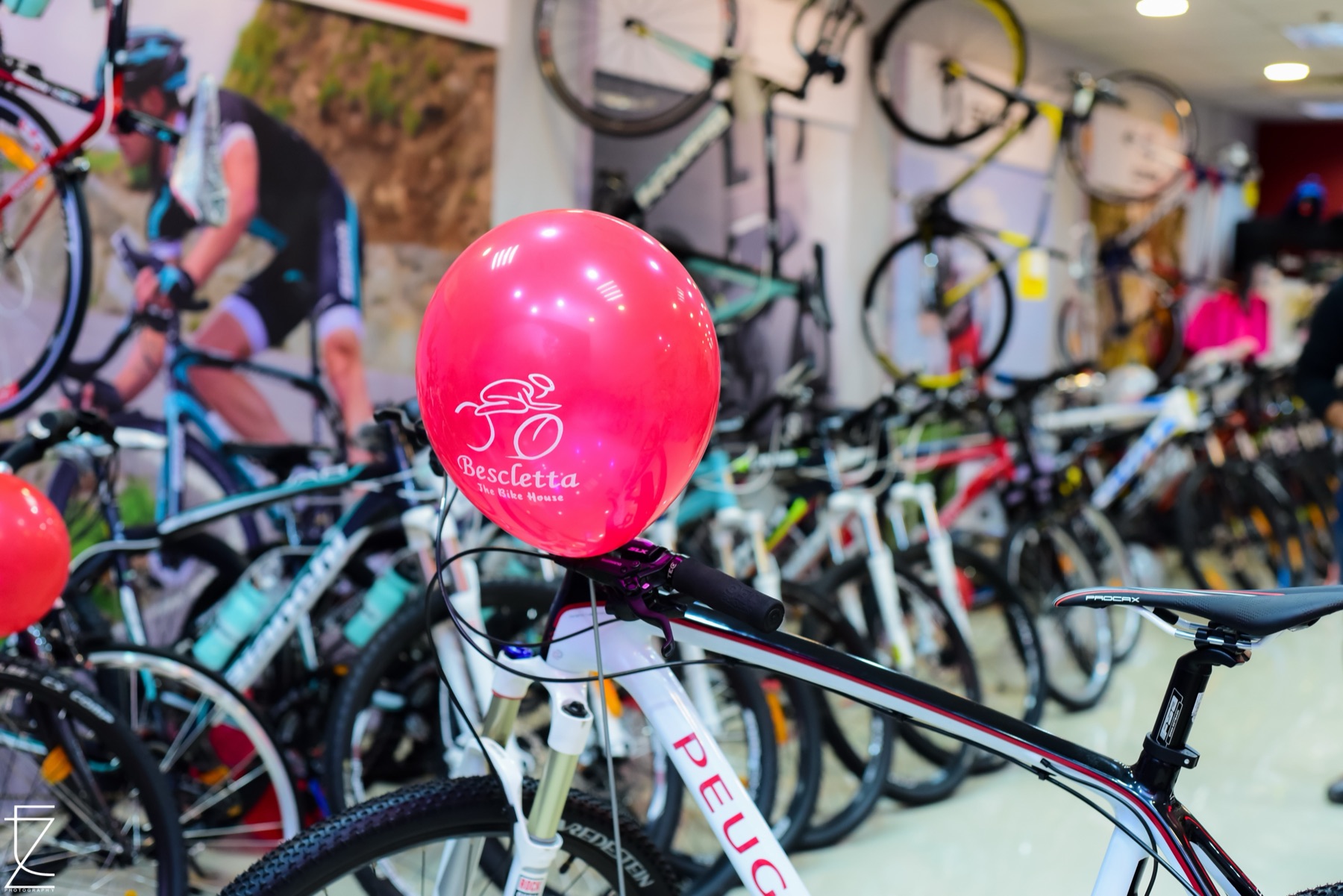 Inside a Bescletta showroom